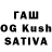 Галлюциногенные грибы Psilocybine cubensis Exatic FF