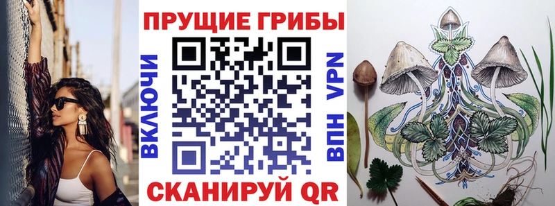 mega Судогда Псилоцибиновые грибы MAGIC MUSHROOMS